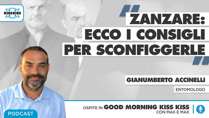 Zanzare: I consigli per sconfiggerle (AUDIO)