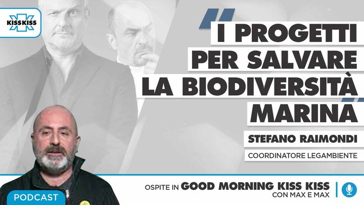 Mare e inquinamento: i progetti per salvare la biodiversita' marina in Good Morning Kiss Kiss (AUDIO)