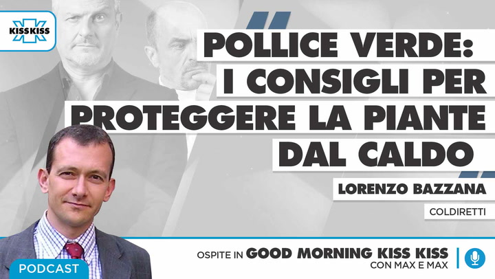 Pollice verde: i consigli per proteggere la piante dal caldo in Good Morning Kiss Kiss (AUDIO)