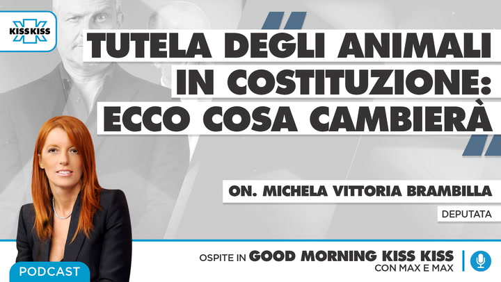 Tutela degli animali in Costituzione: cosa cambia? in Good Morning Kiss Kiss (AUDIO)