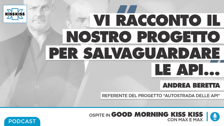 Cambiamento climatico: l'iniziativa per salvaguardare le api in Good Morning Kiss Kiss (AUDIO)