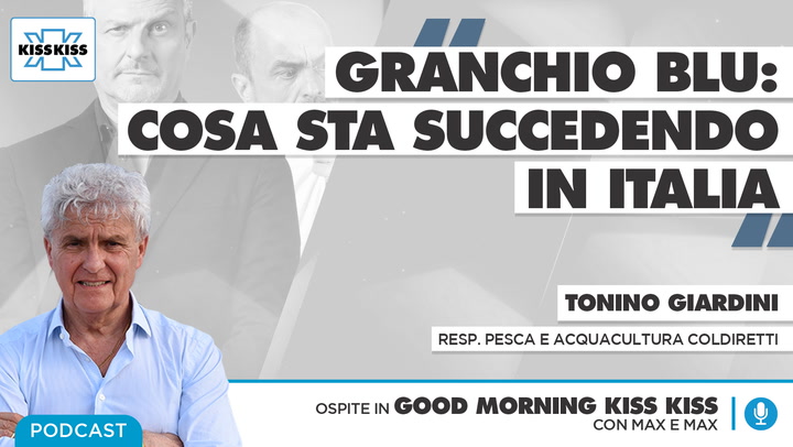 Granchio blu: cosa sta succedendo in Italia in Good Morning Kiss Kiss (AUDIO)
