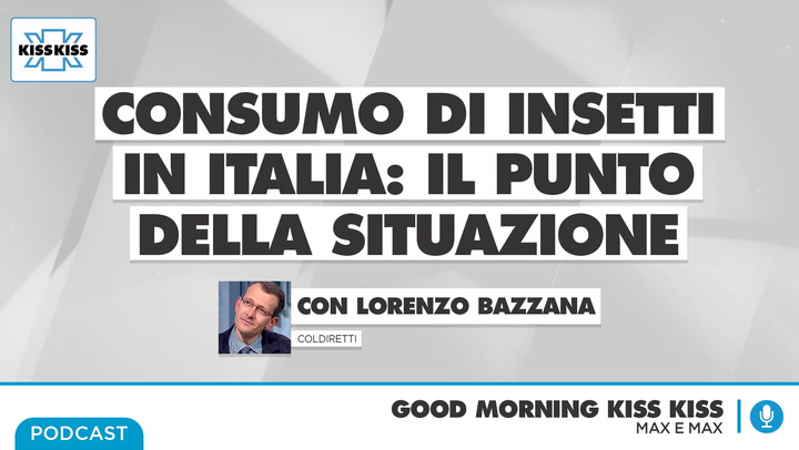 Consumo di insetti in Italia: il punto della situazione in Good Morning Kiss Kiss