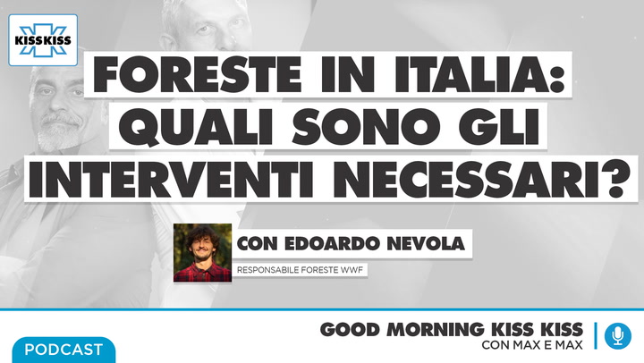 Foreste in Italia: quali sarebbero gli interventi da fare subito? In Good Morning Kiss Kiss (AUDIO)