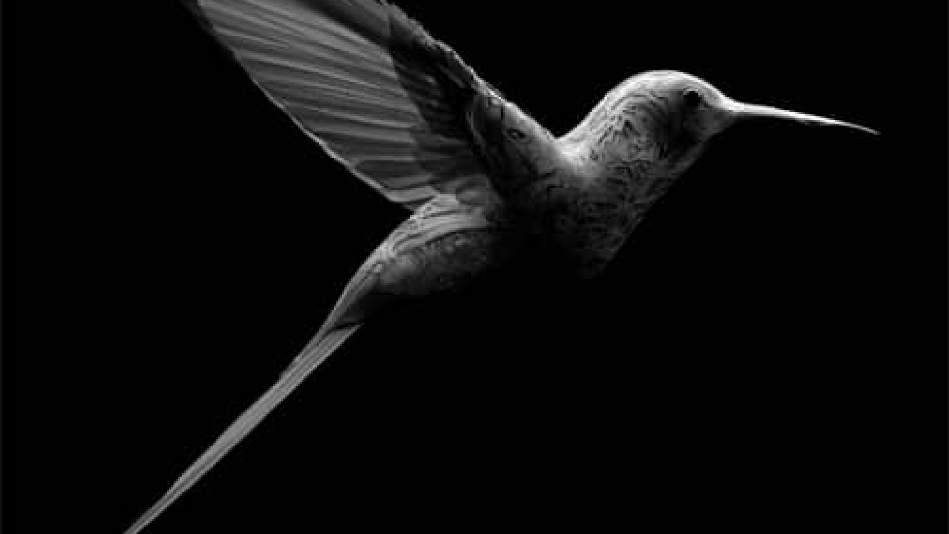 CREMONINI-COLIBRI