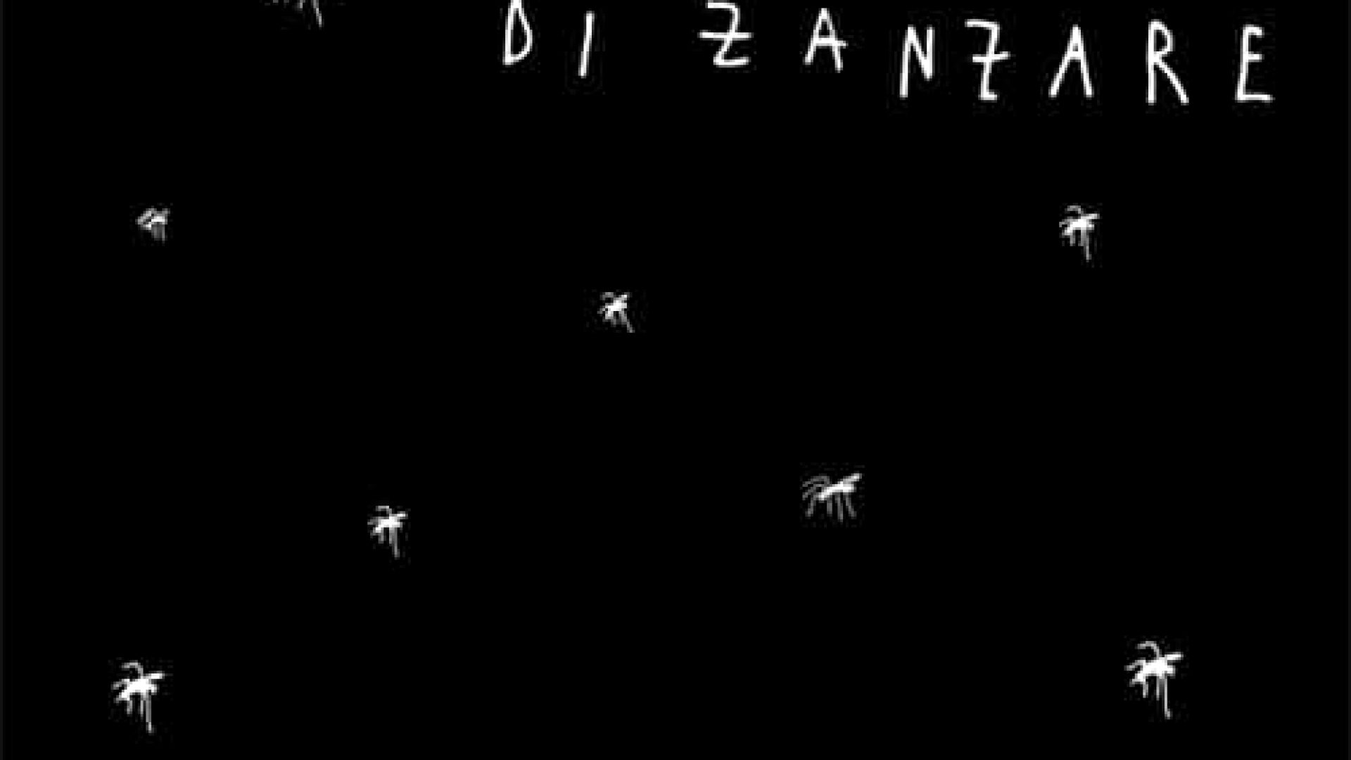 Gaia-Nuvole-di-Zanzare
