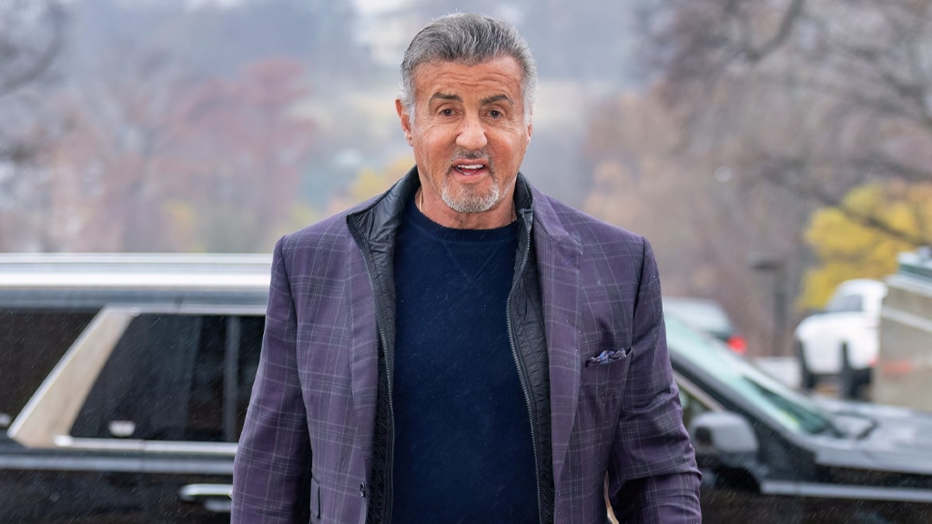 Stallone