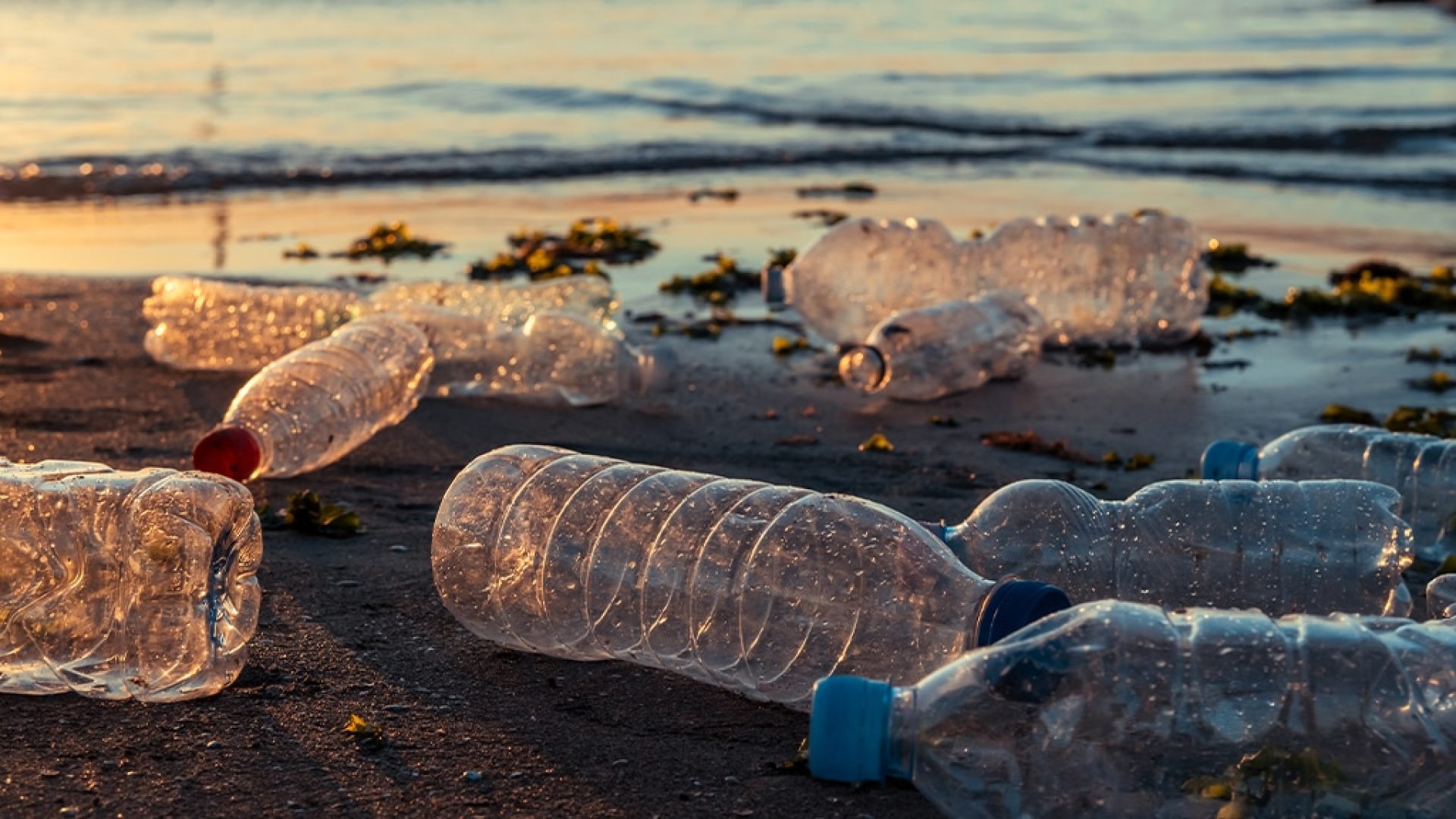 plastica-mare