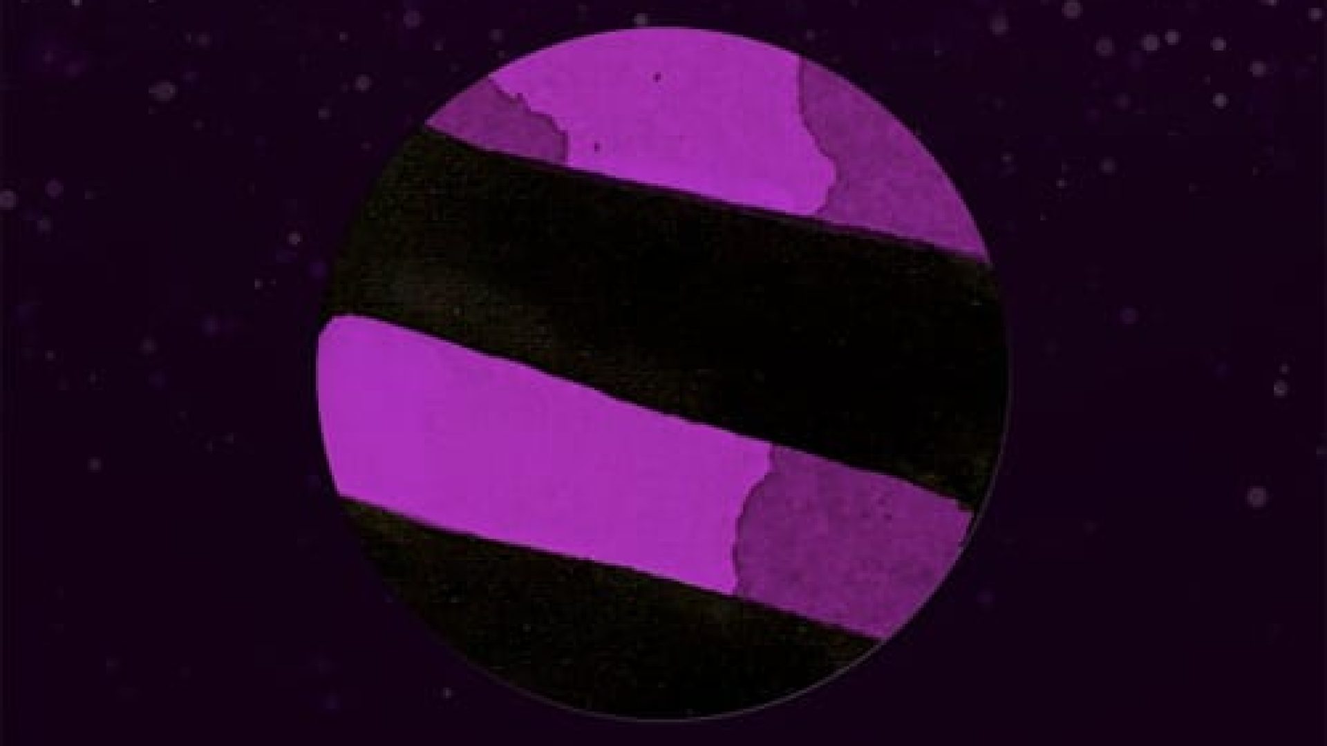 purple-disco-machine-dopami
